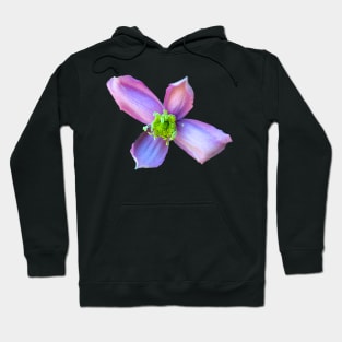 beautiful pink flower Hoodie